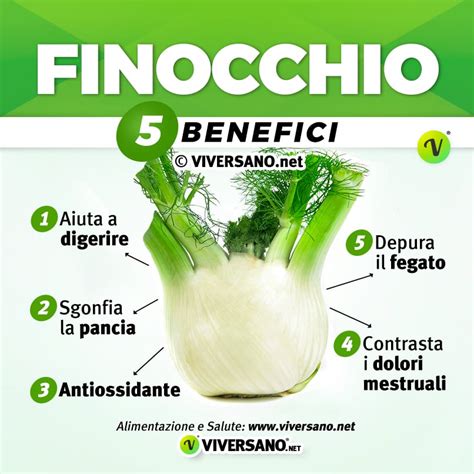 Infografica sui benefici del finocchio per la salute