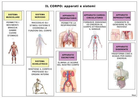 schema del corpo umano con punti di stress