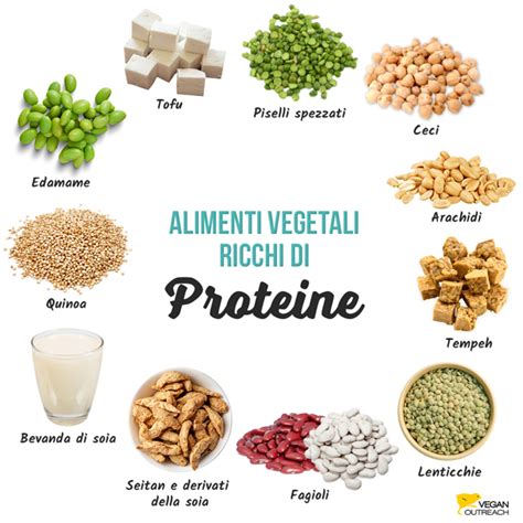 un collage di ingredienti vegani alternativi: latte di soia, tofu, seitan, farina di ceci, olio d'oliva