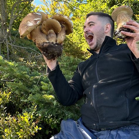 Un bosco autunnale con funghi porcini emergenti tra le foglie