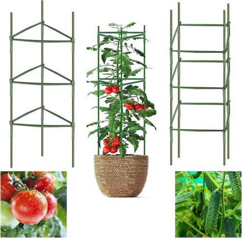 Piante rampicanti con spago di supporto