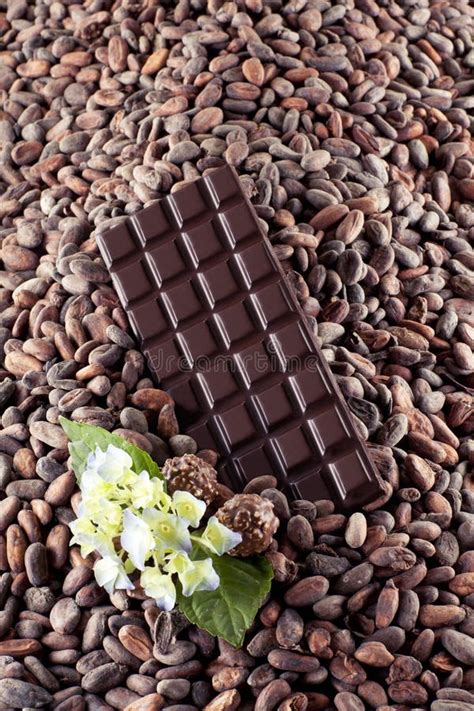 Immagine di chicchi di cacao e cioccolato fondente