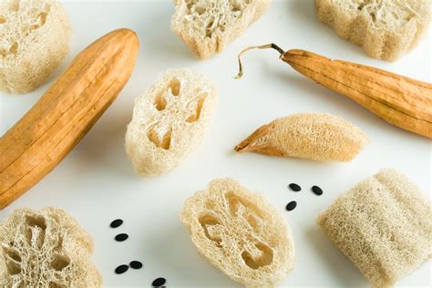 Spugne di luffa utilizzate per la cura del corpo e per lavare i piatti