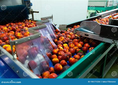 Impianto di trasformazione di frutta