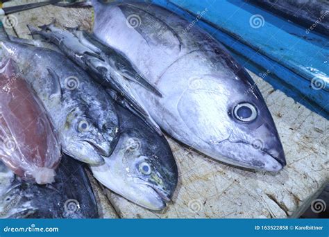 Tonno fresco in un mercato del pesce