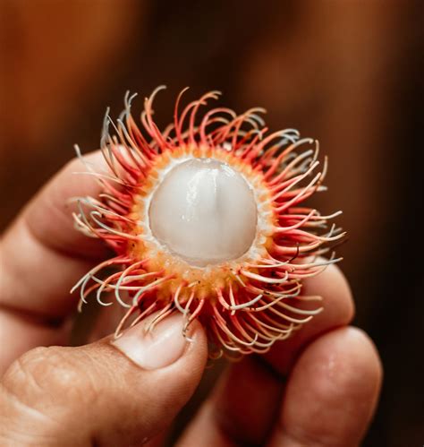 Rambutan fresco con la sua caratteristica buccia spinosa