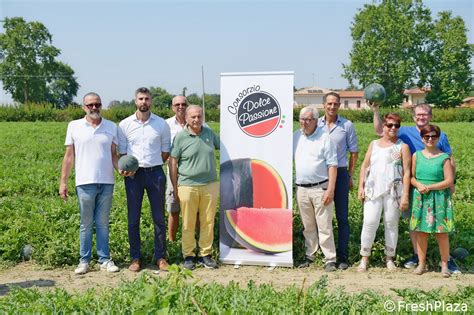 Campo di angurie Dolce Passione