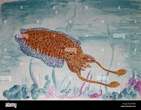 illustrazione di un calamaro in un antico testo