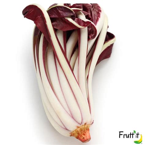 radicchio tardivo