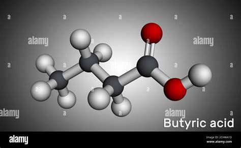 Struttura molecolare dell'acido butirrico