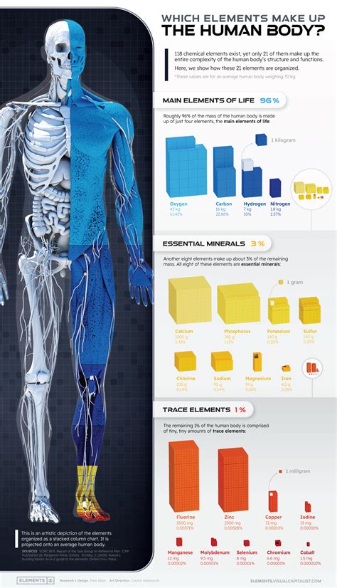 Infografica che mostra i diversi elementi che compongono un 