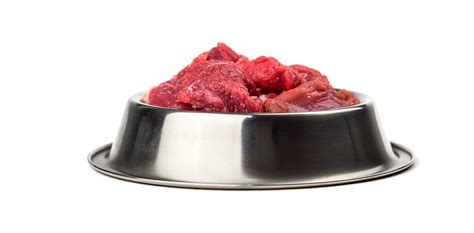 Ciotola di cibo per cani di alta qualità con ingredienti a base di carne