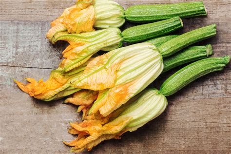 Pianta di zucca con fiori e frutti