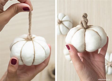 Zucca appena raccolta con il suo picciolo essiccato