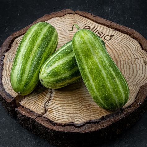 Cetriolo carosello fresco con striature verdi