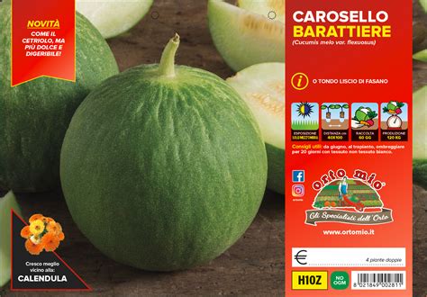 Confronto tra un cetriolo carosello e un cetriolo barattiere