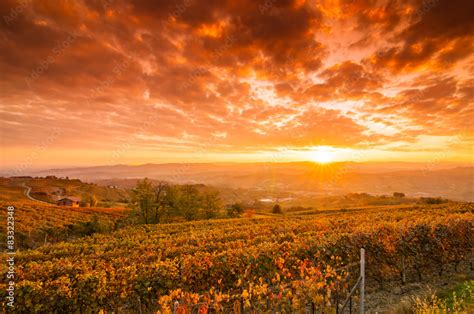 Vigneti delle Langhe al tramonto
