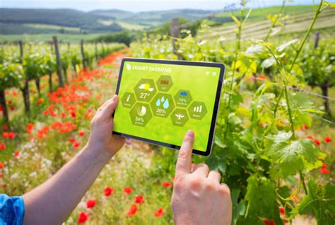 Immagine di un agricoltore che utilizza un tablet in un vigneto