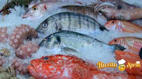 Varietà di pesce surgelato Eismann