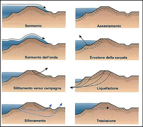 Argine eroso dall'attività di scavo dei gamberi