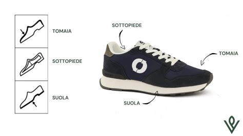 Diagramma delle diverse parti di una trota