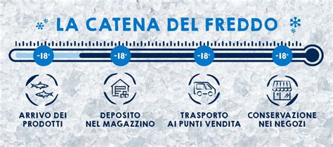 Grafico sulla catena del freddo per il pesce crudo
