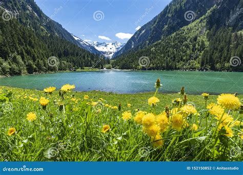 Paesaggio Alpago con lago e montagne