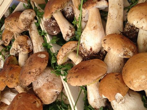 Immagine ravvicinata di funghi porcini freschi e asparagi verdi vibranti