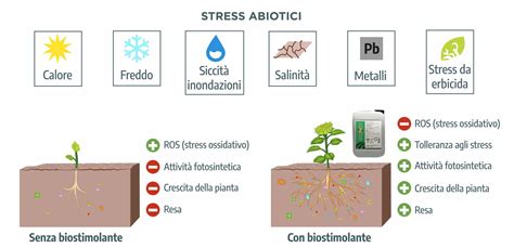 Diagramma che illustra i diversi tipi di stress abiotici e biotici che influenzano la crescita delle piante