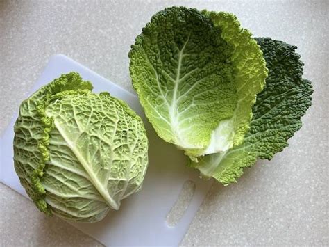 Foglie di cavolo verza fresche