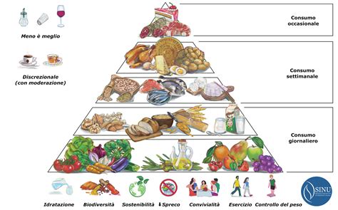 Schema che illustra le piramidi nutrizionali per diverse fasce d'età