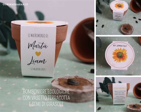 Vasetto con terra e semi di girasole
