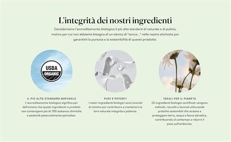 Infografica che mostra ingredienti comuni di origine animale nei cosmetici e le loro alternative vegane
