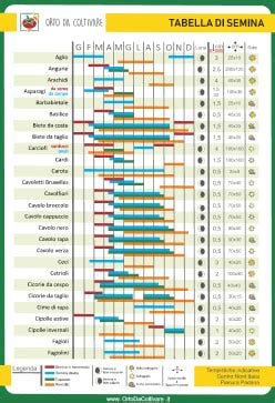 Diagramma della semina dei fagiolini in vaso