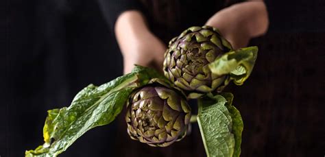 Dettaglio della pulizia di un carciofo romanesco