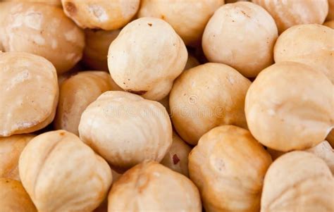 Immagine di nocciole fresche e sgusciate