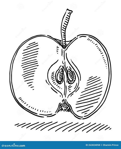 Disegno di un frutto spinoso pendulo