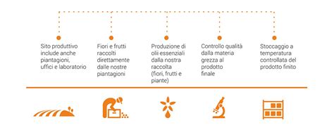 Diagramma che illustra la filiera produttiva del pomodoro Mutti