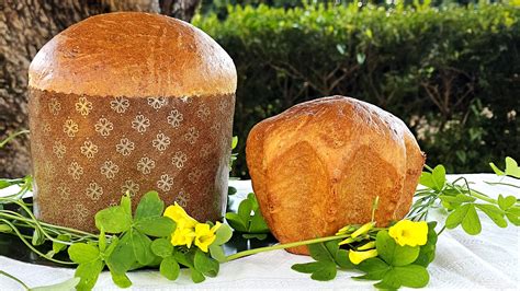 Forma dell'impasto del panettone gastronomico pronto per la lievitazione