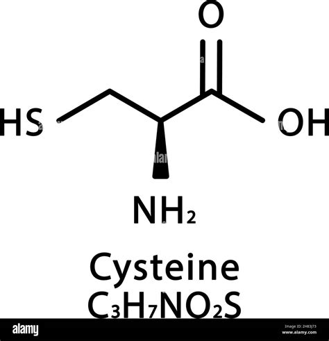 Struttura chimica della Cistina