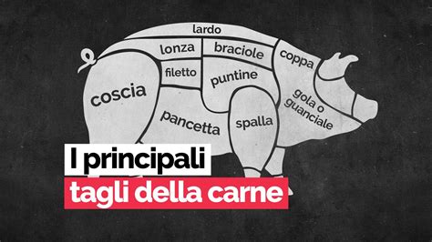 Illustrazione storica di un maiale e salumi