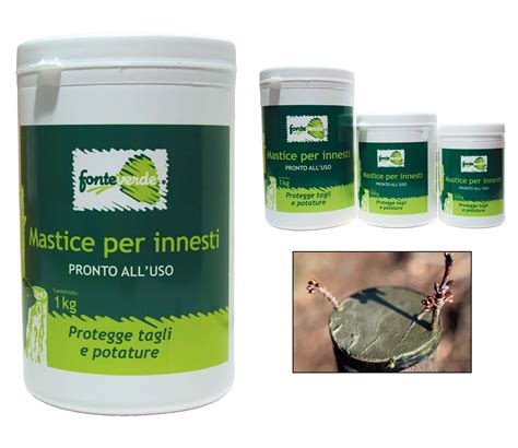 vasetto di mastice per innesti e strumenti da giardinaggio