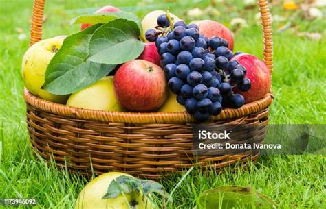 Frutta fresca matura raccolta in un cesto