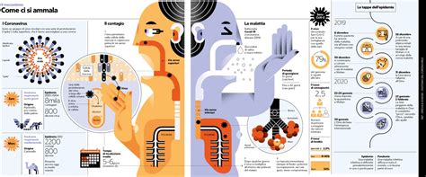 infografica che confronta le politiche