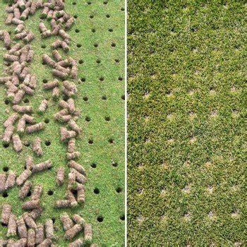 Prato verde sano con piccoli fori visibili