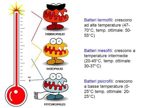 Pesce a temperatura ambiente con batteri