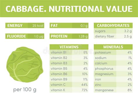 Diagramma nutrizionale del cavolo cappuccio