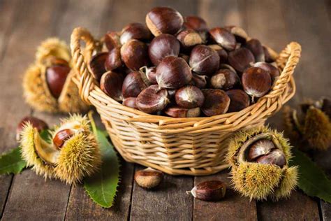 Ceste piene di castagne fresche