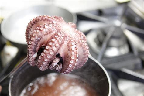 Pulizia di un polpo fresco