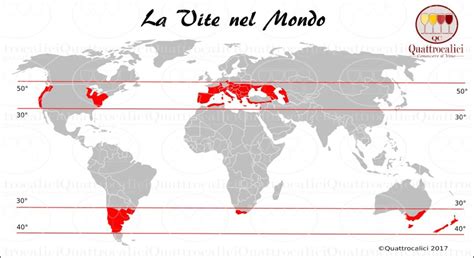 Mappa delle zone di coltivazione dell'oliva tenera ascolana